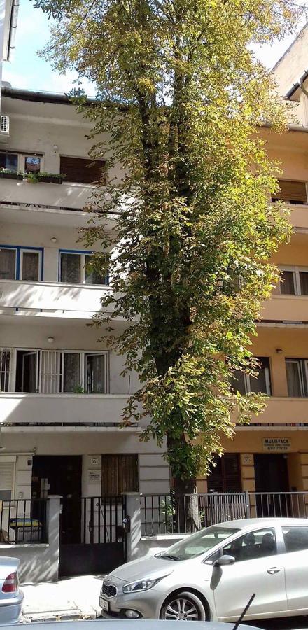 Studio Karma Budapeste Exterior foto